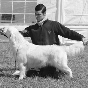 Clément Hartman éducateur canin Calvados