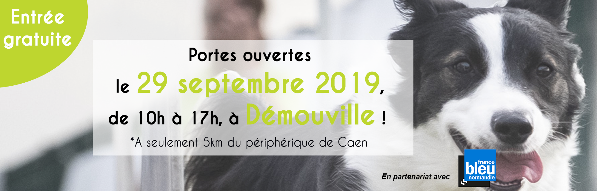 Portes Ouvertes 2019 Ecole Du Chien